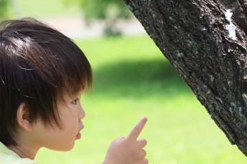 ９．単語から2語文につながるように★